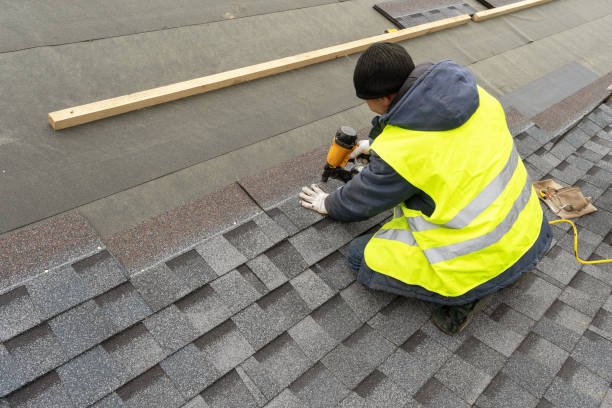 Best Roof Gutter Cleaning  in Bolivar, WV