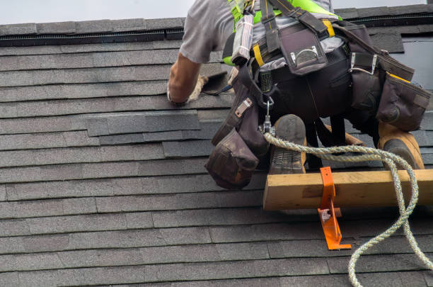 Best Storm Damage Roof Repair  in Bolivar, WV