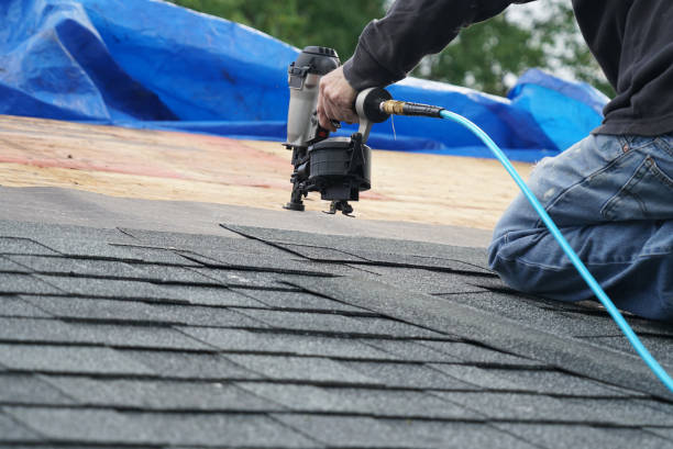 Best Flat Roof Repair Services  in Bolivar, WV