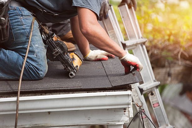 Best New Roof Installation  in Bolivar, WV