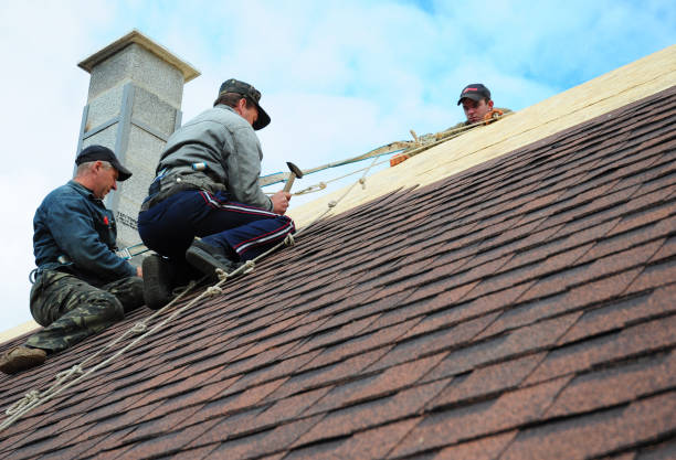 Best Flat Roof Repair Services  in Bolivar, WV