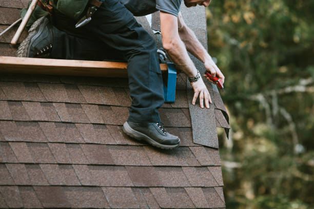 Roof Gutter Cleaning in Bolivar, WV
